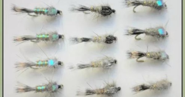 6 Ninfe Hares Ear Goldhead Flash Head – Scegli La Misura (Pesca A Mosca Per Trota E Temolo)